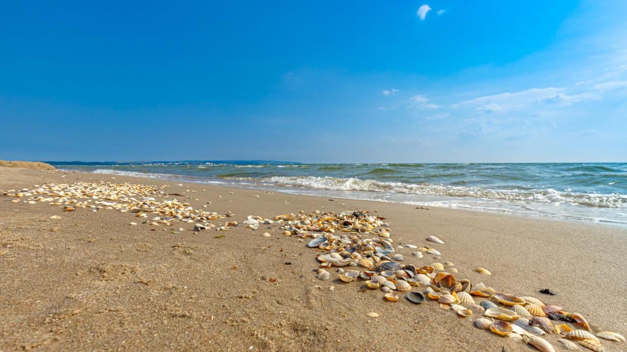 شقة Strandurlaub Ruegen "Luett Matten" بينز المظهر الخارجي الصورة